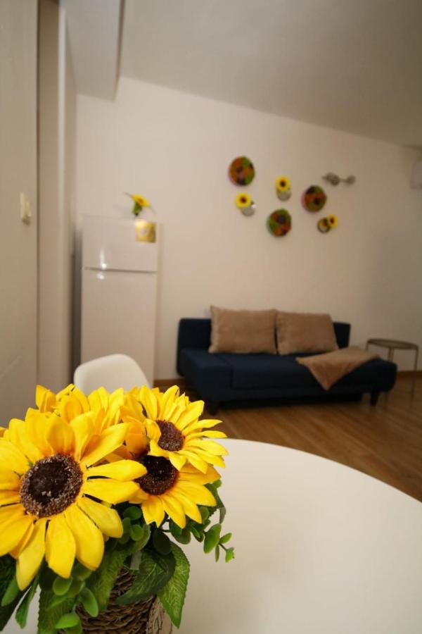 Sunrise Studio Тимишоара Экстерьер фото